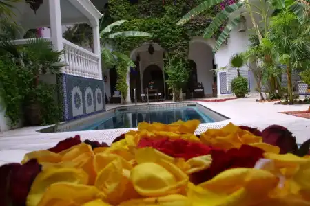 Riad Dar El Assafir - 17