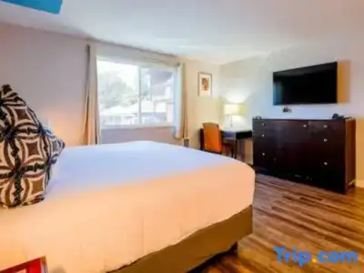 Coast River Inn by OYO Seaside - 106