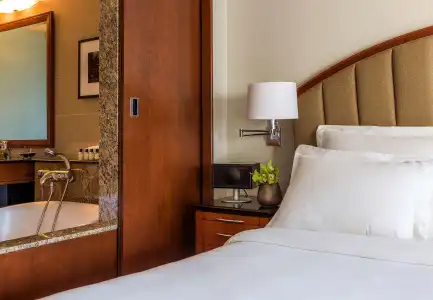 Park Hyatt Chicago - 9