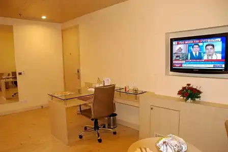 Sarovar Portico Naraina Delhi - 55