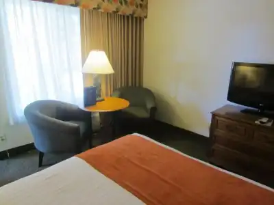 Best Western Seven Seas - 55