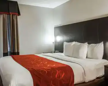 Comfort Suites Nashville Airport - BNA - 62