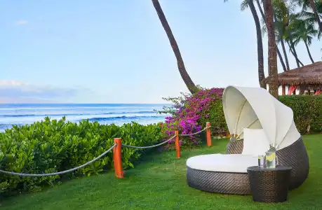 Hyatt Regency Maui Resort & Spa - 33