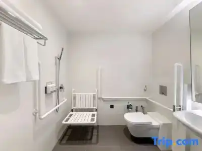 Holiday Inn Express SINGAPORE ORCHARD ROAD by IHG - 76