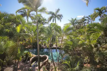 Best Western Colonial Palms Motor Inn - 15