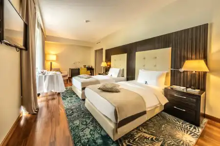 Crowne Plaza Borjomi - 38