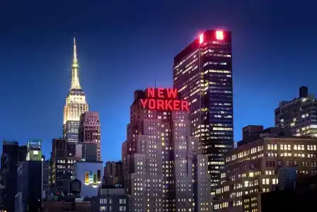 The New Yorker by Lottes - 85