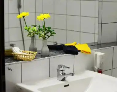 Goldener Adler - 34
