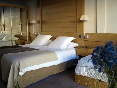 Hôtel Le Ski d'Or - 51