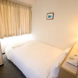 Park Inn Toyama - 8
