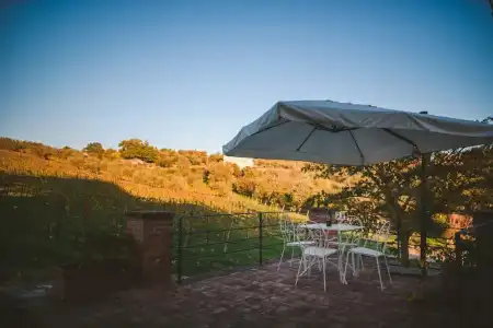 Fattoria di Corsignano - 37
