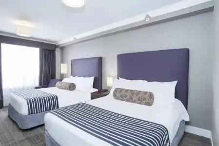 Sandman & Suites Calgary South - 26