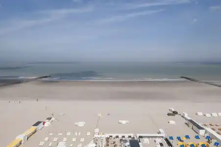Beach Palace by CW Collection - 8