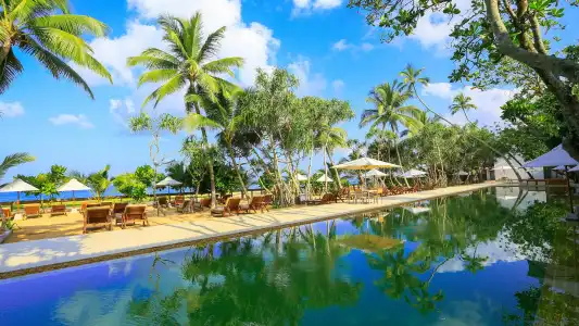 Pandanus Beach Resort & Spa Resort - 42