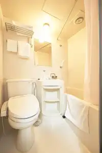 Select Inn Tsuyama - 19