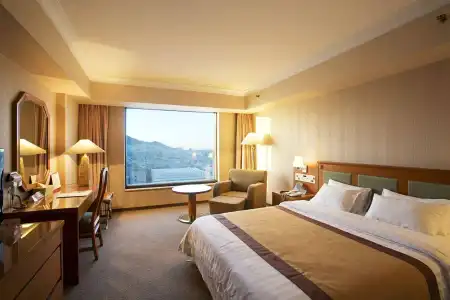 Paragon - 5