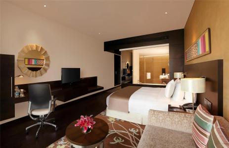 Hilton Jaipur - 48