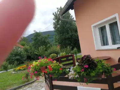 Guesthouse Blazenka Hodak - 14