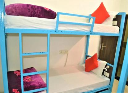 Bedweiser Backpackers Hostel - 3