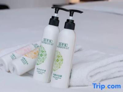 Metropolo, Wuhan, Wanda Plaza-Wuhan Sports Center - 24