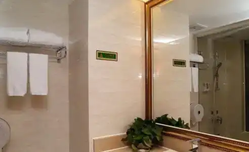 ViennaShenzhen Futian Bagua Road - 6