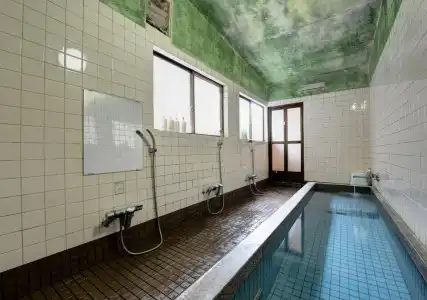 Ryokan Sakamotoya - 15
