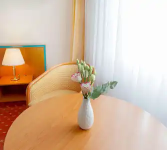Dorint Leipzig (ex. Mercure Leipzig Am Johannisplatz) - 47