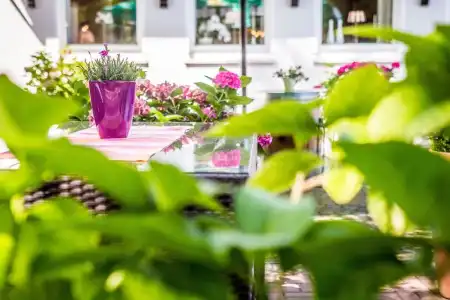 Restaurant Hackmann-Atter - 15