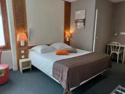 Logis - Hôtel Restaurant Bellevue Annecy - 33