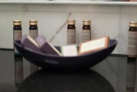 Wellness Lowe - 37