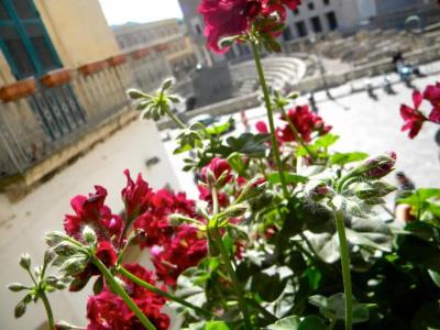 Alvino Suite & Breakfast - 50