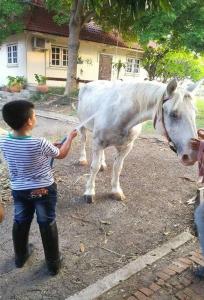 Wanlapa Farmstay - 21