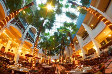 Savoy Homann - 18