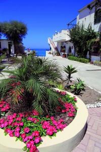 Villaggio Agrumeto - 38