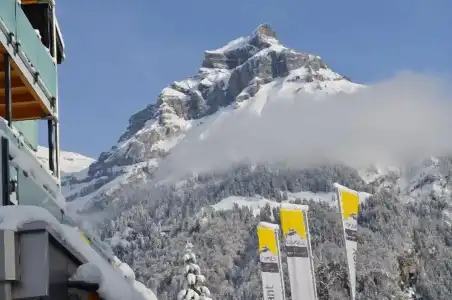 Hahnenblick - 33