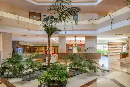 Zafiro Tropic - 32