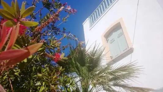Amazones Village Suites - 153