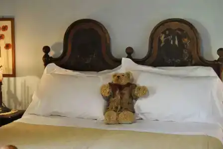 Villa Cicolina - 60