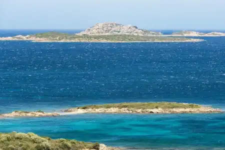 Pulicinu - 20