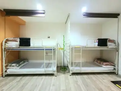 Hostel Tommy - 66