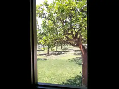 Agriturismo Terra dei Limoni - 37