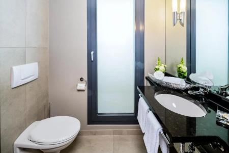Park Plaza Trier, Germany - 64