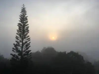 Forest Hill1 Khao Kho - 12