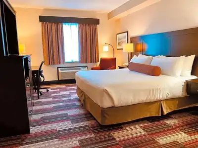 Best Western Plus Stoneridge Inn & Conference Centre - 66