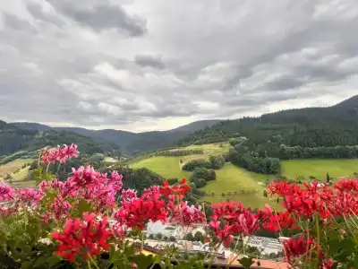 Schauinsland - 18