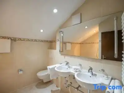 Grichting & Serviced Apartments - 173