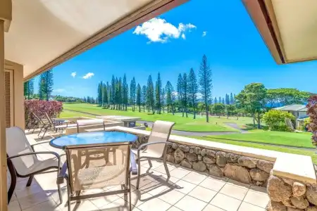 Come to Maui- Beautiful 2BD/3BA OceanView Kapalua Ridge Villa - 16