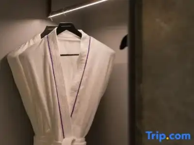 Mercure Xi'an Downtown - 39