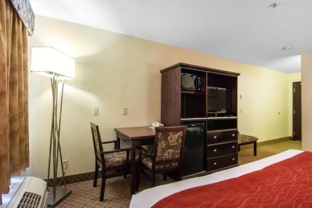 Comfort Inn & Suites Airport South - 41