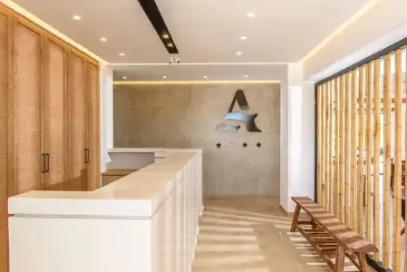 AneSea - 12